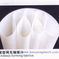 Large picture polyester forming fabrics