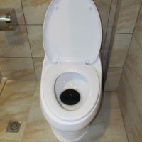Large picture electric toilet