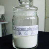 Large picture Chloramphenicol