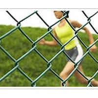 Large picture Chain Link Fence