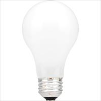 Large picture Frosted Incandescent Bulb