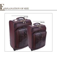 Large picture luggage case