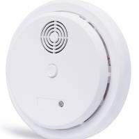 Large picture photoelectric smoke detector (independent)