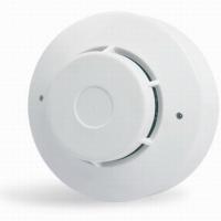 Large picture 4-wire Ionic smoke detector (network)