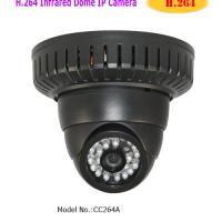 Large picture H.264 Infrared Dome IP Camera