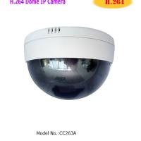 Large picture H.264  Dome IP Camera