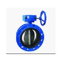 Large picture Concentric Flanged Butterfly Valve