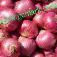 Large picture Fresh red onion