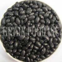 Large picture Black Turtle Beans or Small Black Kidney Bean