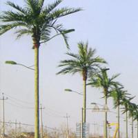 Large picture palm tree tower