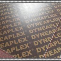 Large picture Sascoplex Film Faced Plywood