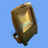 Large picture LED Floodlight-20W