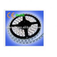 Large picture 5050 waterproof flexible LED strip