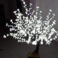 Large picture LED Tree Light