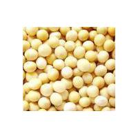 Large picture Soybean Extract Powder Cas no:574-12-9