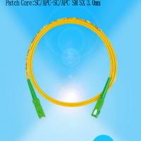 Large picture SC  Fiber Optic Patch Cord