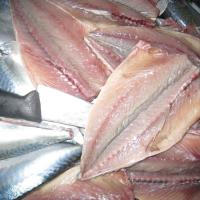 Large picture mackerel fillets