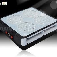 Large picture Apollo4 led grow light