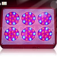 Large picture Apollo6 led grow light
