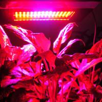 Large picture led grow light