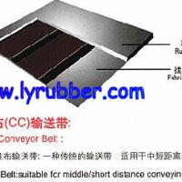 Large picture CC Conveyor Belt
