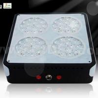 Large picture Apollo-4 Led Grow Light
