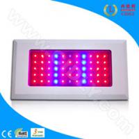 Large picture Aquarium LED Lighting With 3W Chip (CDL-A55*3W)