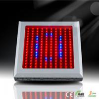 Large picture LED Horticulture Light 150W