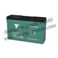 Large picture sealed lead acid storage battery mould