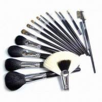 Large picture Makeup Brush Kit