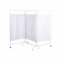 Large picture Folding Screen