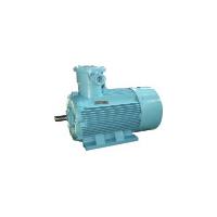 Large picture YBK2 Explosion proof Electric Motor