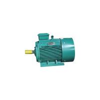 Large picture Y series (IP44) AC induction pump motors