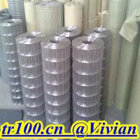 Large picture hardware cloth,welded wire mesh