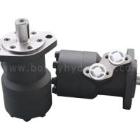 Large picture hydraulic orbital motor