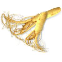 Large picture Ginseng Extract   jasmin.vc