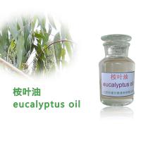 Large picture Eucalyptus oil,eucalyptuses,spice oil 8000-48-4