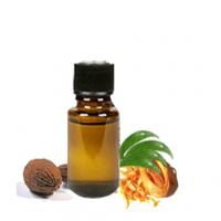 Large picture Mace oil