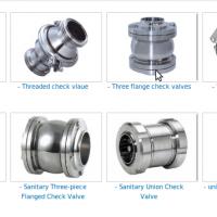 Large picture sanitary stainless steel check valve