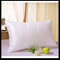 Large picture down pillow inner