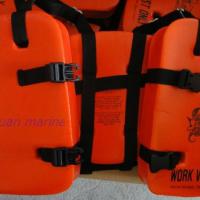 Large picture Seahorse life vest