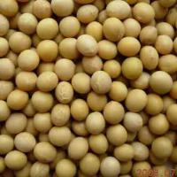 Large picture Soybean Isoflavones