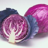 Large picture Red cabbage color