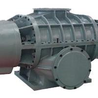 Large picture roots blower