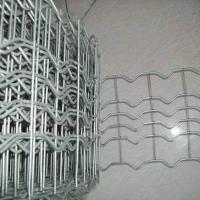 Large picture Pipe-Line Reinforced Mesh