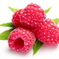 Large picture raspberry ketone extract