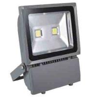 Large picture 100W LED Flood Light (BS-2105)