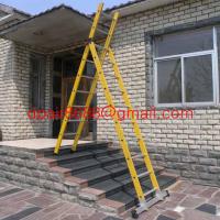 Large picture Frp Telescopic and extension ladder