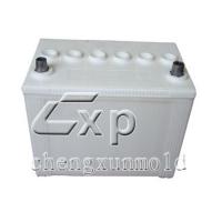 Large picture car battery injection mould Lead Acid Car Battery