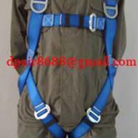 Large picture PP safey belt& Nylon safety belt